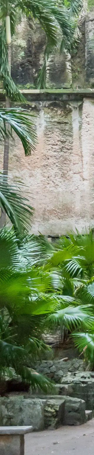 Erklimme das historische Queen’s Staircase in Nassau